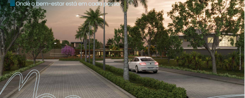 1x4 Avenida Central